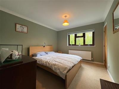 Picture 43